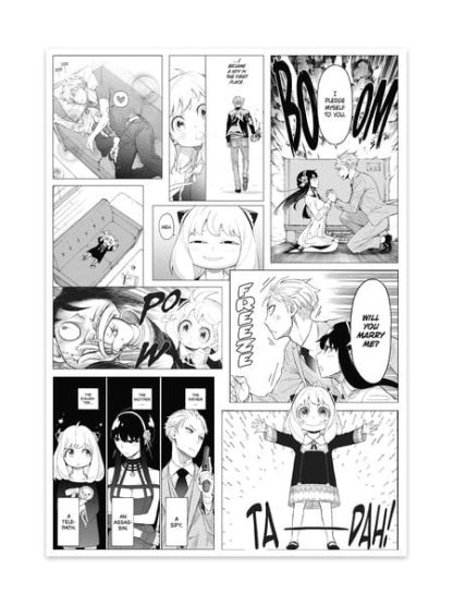 Spy x Assassin Manga Panel