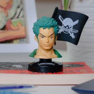 Pirate Hunter Wanted Head